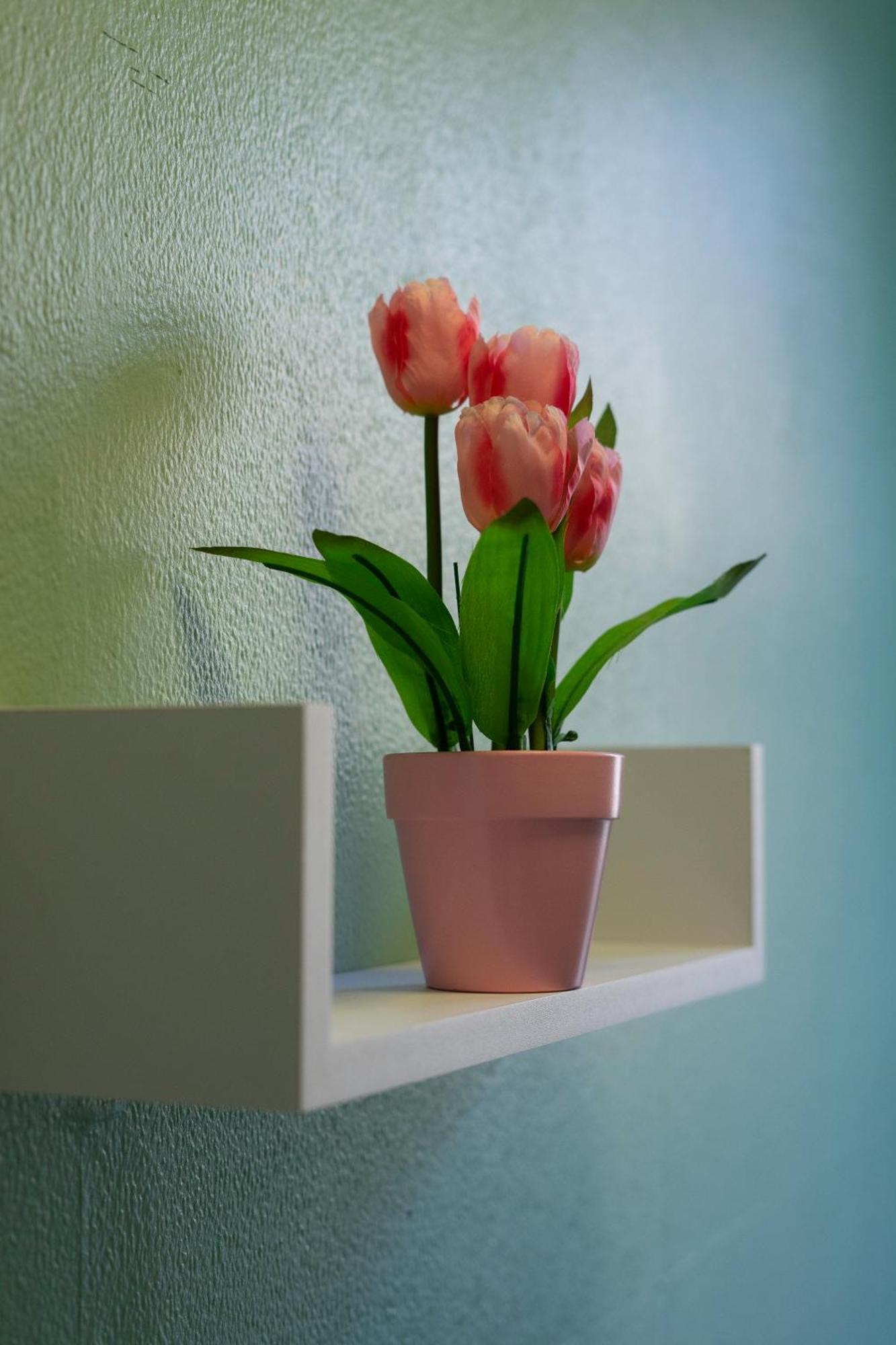 The Eden Apartment, Edinburgh City Center ภายนอก รูปภาพ